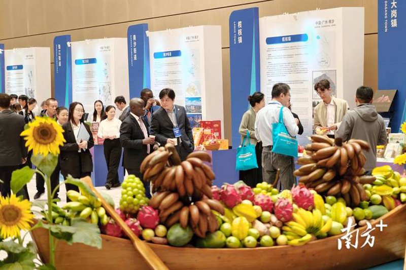 批发零售公司的那些批发不散的误区